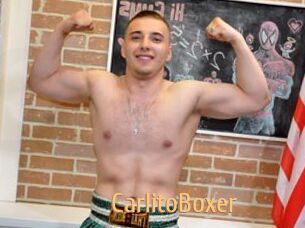 CarlitoBoxer