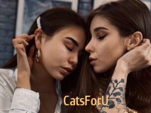 CatsForU