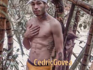 CedricGovea
