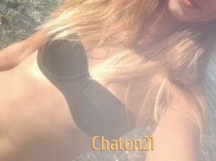 Chaton21