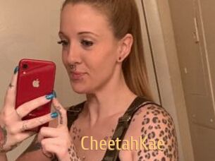 CheetahKae