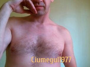 Ciumegul1977