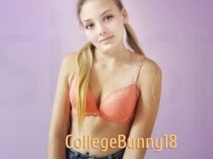 CollegeBunny18