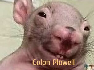 Colon_Plowell