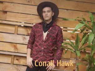 Conall_Hawk