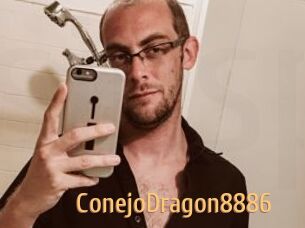 ConejoDragon8886
