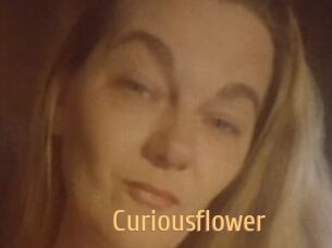 Curiousflower