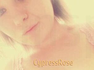 Cypress_Rose