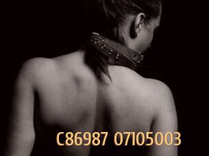 C86987-07105003