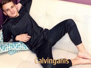 Calvinyanis