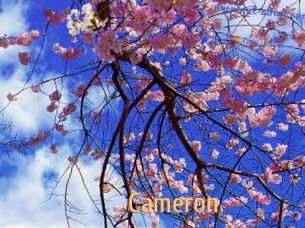 Cameron