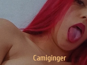 Camiginger