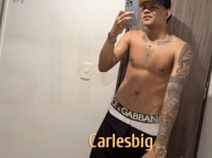 carlesbig Single Spass