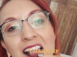 Cataaponte
