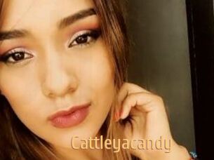 Cattleyacandy