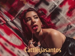 Cattleyasantos