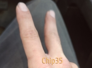 chip35 Single Spass