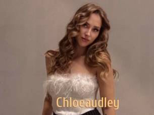 chloeaudley Single Spass