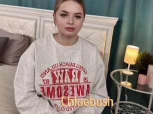 Chloebush