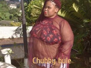 Chubby_bule