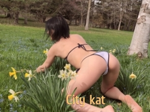 City_kat