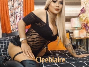cleeblaire Single Spass