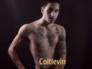Coltlevin