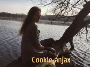 Cookie_anjax
