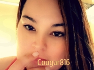 Cougar816