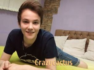 Crazycactus