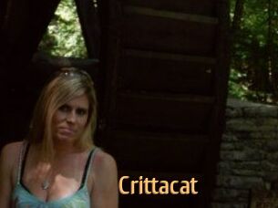Crittacat