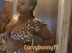 Curvybunny19