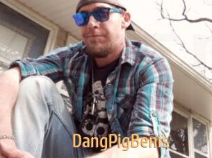 DangPigBenis