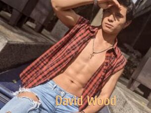 David_Wood