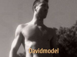 Davidmodel