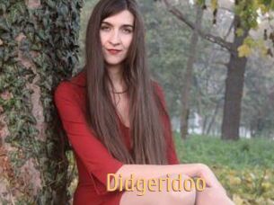 Didgeridoo
