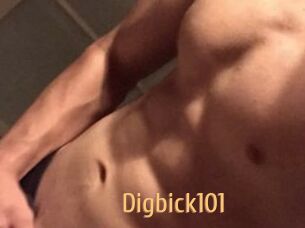 Digbick101