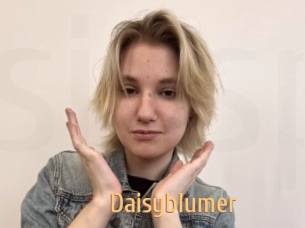 Daisyblumer