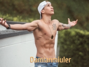 Damianmiuler