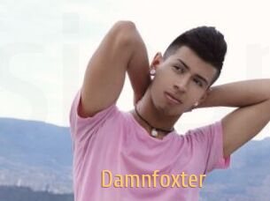 Damnfoxter