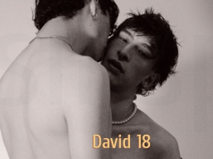 david_18 Single Spass