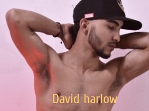 david_harlow Single Spass