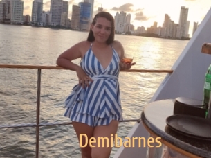 Demibarnes