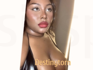 destinytorn Single Spass