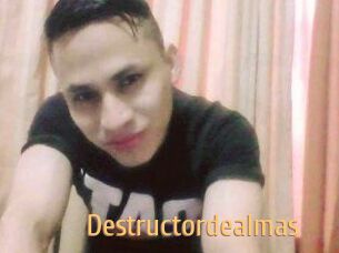 Destructordealmas