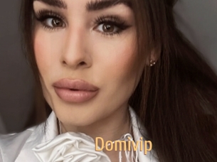 domivip Single Spass