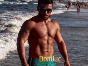 Domluc