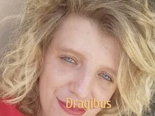 Dragibus