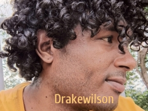drakewilson Single Spass