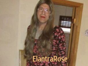 Elantra_Rose